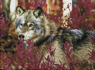 DQK12.001 Diamond Dotz® - Hobby Pakket - Diamond painting volwassenen - Diamond painting met lijst - Wolf in een herst bos 42 x 57cm - Vierkante steentjes - Diamond painting pakket volledig