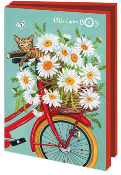 Kaartenmapje 10 stuks met enveloppen – Special delivery, Miriam Bos