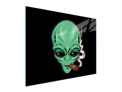 TMK ArtDeko - Serie Snijplank - Glazen Snijplank - 52x40cm - UV Print - Antislip