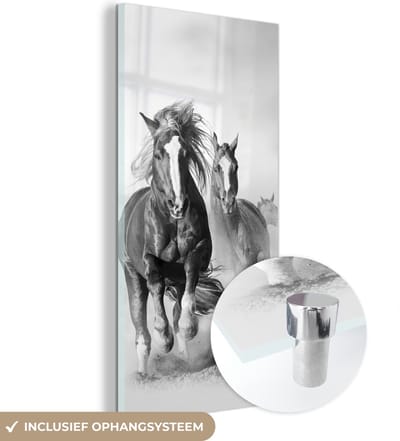 MuchoWow® Glasschilderij 60x120 cm - Schilderij acrylglas - Paarden - Dieren - Illustratie - Foto op glas - Schilderijen