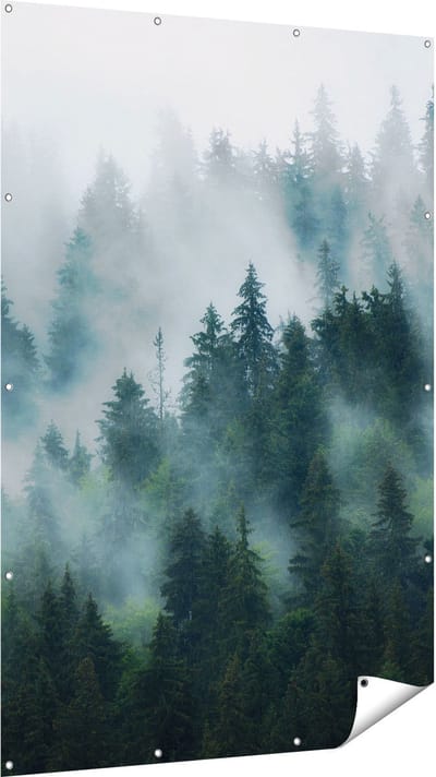 Gards Tuinposter Bos met Bomen in de Mist - 120x180 cm - Tuindoek - Tuindecoratie - Wanddecoratie buiten - Tuinschilderij