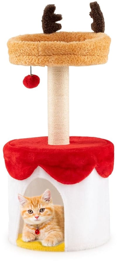 Kattenhuis - Voor buiten - Hok - Kooi - Bench - Ren - duurzaam - Wit, Rood, Geel en Oranje