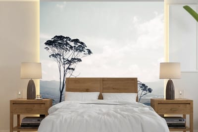 Behang - Fotobehang Bomen - Lucht - Natuur - Breedte 300 cm x hoogte 300 cm