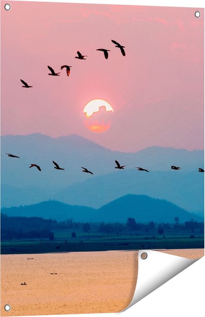 Gards Tuinposter Silhouet van Zwerm Vogels bij Zonsondergang - 60x80 cm - Tuindoek - Tuindecoratie - Wanddecoratie buiten - Tuinschilderij
