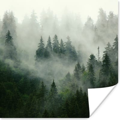 Poster Bos - Mist - Bomen - Natuur - 100x100 cm XXL