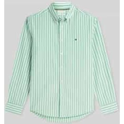Tommy Hilfiger Flex Poplin Seasonal Cut Grass/stripe Maat: XL | Casual Overhemden Outlet | Heren | Groen