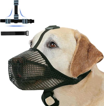 Honden muilkorf - Hondenmasker - Veilig wandelen - Verstelbare pasvorm - Maat XS - Groen
