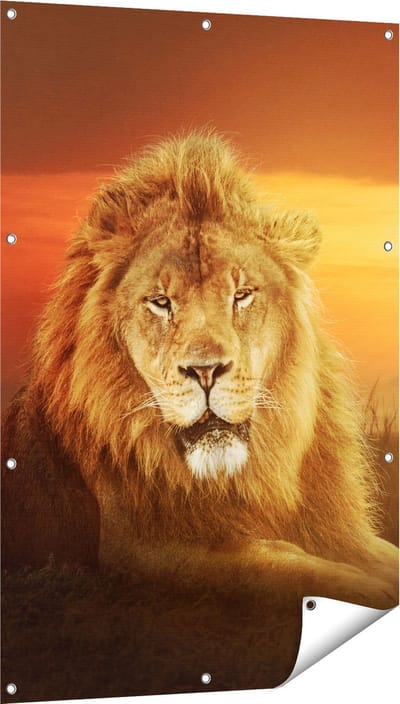 Gards Tuinposter Leeuw in de Savanne - Zonsondergang - 80x120 cm - Tuindoek - Tuindecoratie - Wanddecoratie buiten - Tuinschilderij