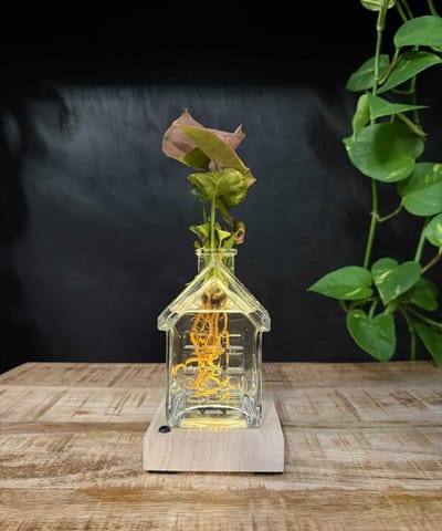 Intenz | Oslo | Glazen huisje met plant op water | Neon