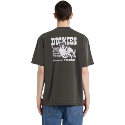 Dickies T-shirt - BUCHTELL TEE - S tot XL - voor Mannen - zwart
