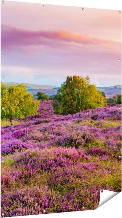 Gards Tuinposter Paarse Weide - 120x180 cm - Tuindoek - Tuindecoratie - Wanddecoratie buiten - Tuinschilderij