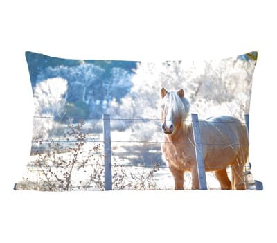 Sierkussens - Kussentjes Woonkamer - 50x30 cm - Paard - Winter - Sneeuw - Kerstversiering - Kerstdecoratie voor binnen - Woonkamer
