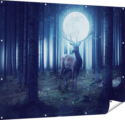 Gards Tuinposter Hert in het Bos tijdens Volle Maan - 150x120 cm - Tuindoek - Tuindecoratie - Wanddecoratie buiten - Tuinschilderij