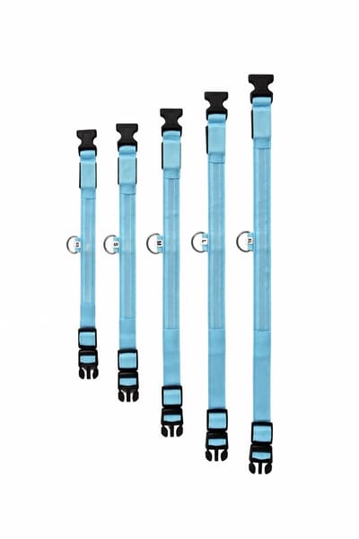 Max&Mand LED Hondenhalsband XS Blauw – USB Oplaadbaar – Verlichte Halsband Hond – Meerdere LED Kleuren – 4 Lichtstanden – Zichtbaar in Donker