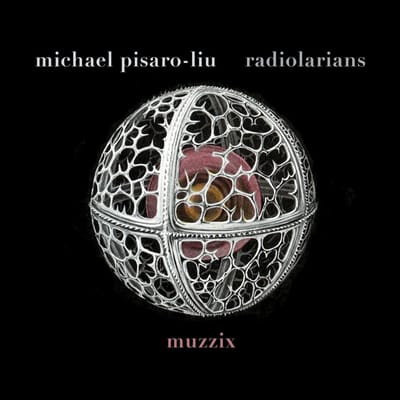 Muzzix - Michael Pisaro-Liu: Radiolarians (CD)
