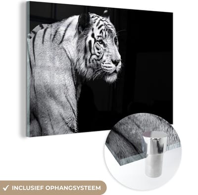 MuchoWow® Glasschilderij 60x40 cm - Schilderij acrylglas - Tijger - Wilde dieren - Licht - Foto op glas - Schilderijen