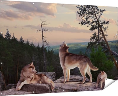 Gards Tuinposter Drie Wolven op een Rots in het Bos - 180x120 cm - Tuindoek - Tuindecoratie - Wanddecoratie buiten - Tuinschilderij