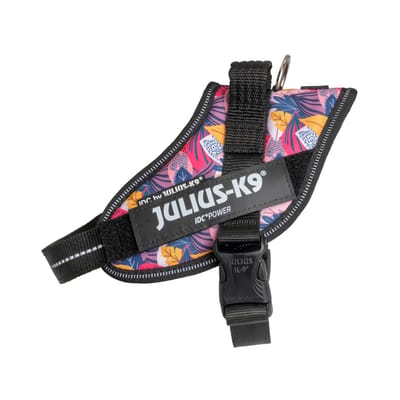 Limited Edition Julius-K9 IDC® Powerharness, Leaf 2 Gr. S/Mini: Borstomtrek 49-67cm voor honden