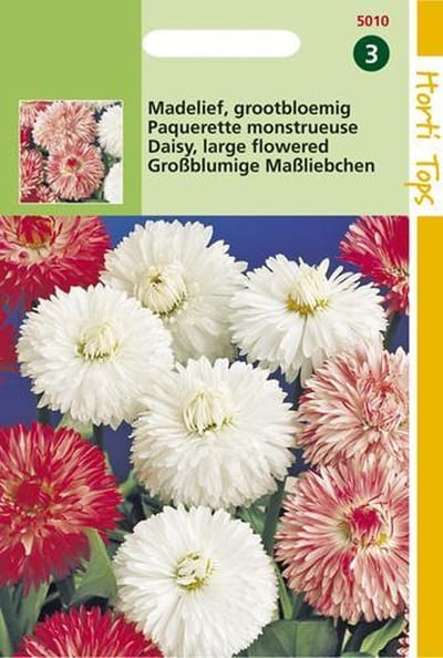 Hortitops Zaden - Bellis Perennis Monstrosa Gemengd