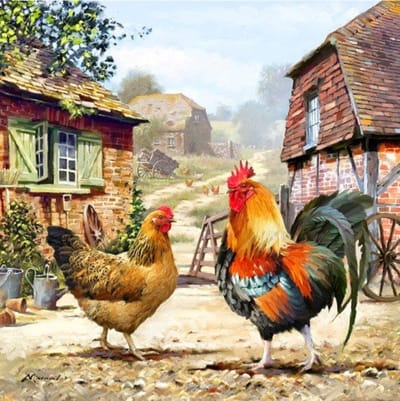 DIY Farmyard Cickens CAK098