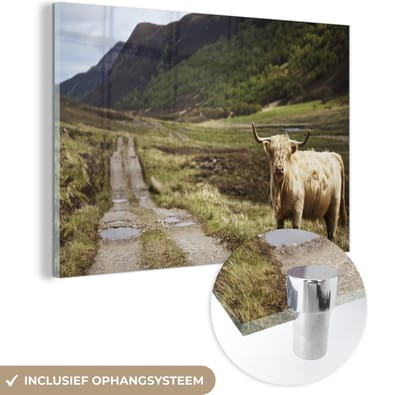 MuchoWow® Glasschilderij 120x80 cm - Schilderij acrylglas - Schotse Hooglander - Pad - Bos - Foto op glas - Schilderijen