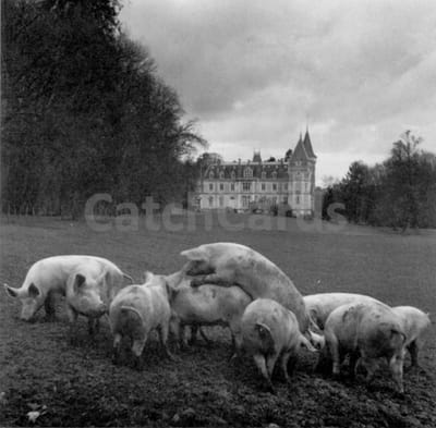 Philippe Salaun - La Vie de Chateau - Vintage dubbele kaarten - Zwart-wit - Set van 10 kaarten met eco-katoen enveloppen