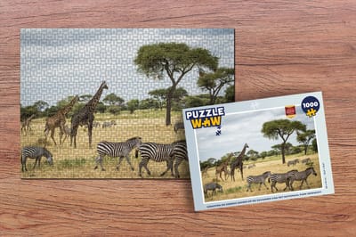 Puzzel Giraffen en Zebras samen op de savannes van het Nationaal park Serengeti - Legpuzzel - Puzzel 1000 stukjes volwassenen