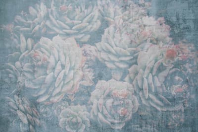 Fotobehang - Aloe Abstract 375x250cm - Vliesbehang