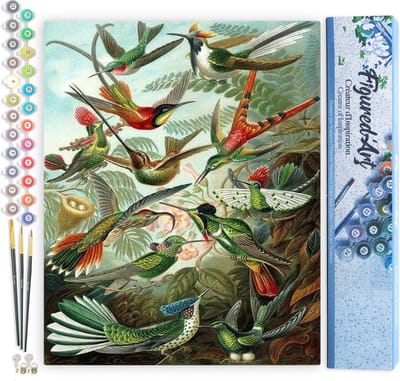 Figured'Art Schilderen op Nummer Volwassenen canvas Alle vogels - Handwerk acrylverf Kit DIY Compleet - 40x50cm zonder frame