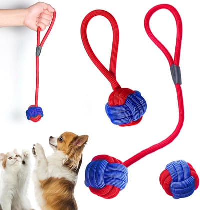 3 stuks hondenkauwspeelgoed, touw, hondentouw, speeltouw voor katten, hondenkauwspeelgoed voor puppy's, kleine, middelgrote honden