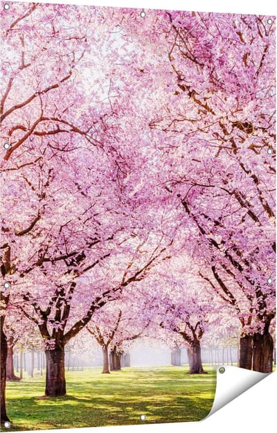 Gards Tuinposter Roze Bloesembomen Park - Bloemen - 90x120 cm - Tuindoek - Tuindecoratie - Wanddecoratie buiten - Tuinschilderij