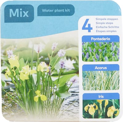 Bloomique - Set van 3 Vijverplanten - Kant-en-Klare Set - Droogverpakking - Met Pontederia, Acorus, Iris - Vijverplanten - Waterplanten - Mand 18 cm