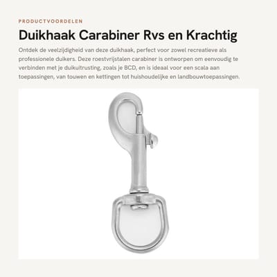 Dailygoods- Duikhaak RVS - Karabijnhaak met Schroefsluiting - Musketonhaak - Multifunctioneel - Duurzaam - Onderwatergebruik