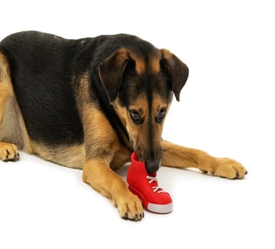 Nobleza Hondenspeelgoed Schoen - Piepspeeltje voor Honden - 18 cm - Rood