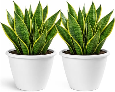 Mega Collections Plantenpot / bloempot Essence Lima - 2x - kunststof - wit - binnen/buiten - D50 x H40 cm