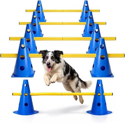 Multi-functionele Agility Set voor Honden, Paarden en Kinderen - Obstakels, Coördinatietraining en Voetbaltraining met Conen, 23 cm Hoog
