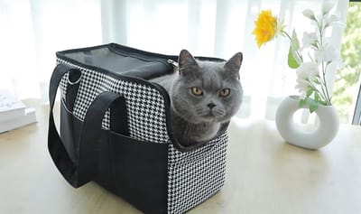Huisdier Draagtas - Transporttas Reistas - Reizen met Huisdier - Opvouwbaar en Ademend - 38x18x30 cm - Beige