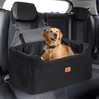 Verhoogde Hondenzit voor Auto met Veiligheidsgordel voor Middelgrote en Grote Honden