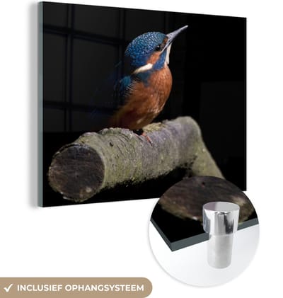 MuchoWow® Glasschilderij 160x120 cm - Schilderij acrylglas - IJsvogel - Tak - Veren - Zwart - Foto op glas - Schilderijen