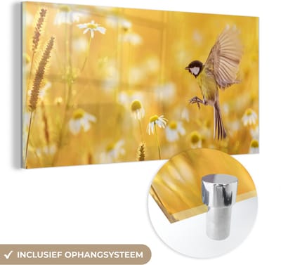 MuchoWow® Glasschilderij 40x20 cm - Schilderij acrylglas - Vogel - Koolmees - Bloemen - Margriet - Foto op glas - Schilderijen