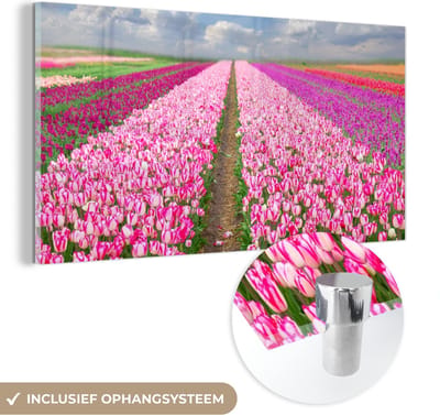 MuchoWow® Glasschilderij 40x20 cm - Schilderij acrylglas - Tulpen - Zon - Lente - Foto op glas - Schilderijen