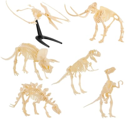 Dailygoods- Dinosaurus Skelet Modellen - 6 Stuks - PVC - Decoratie - Onderwijs - Realistische Details - Perfect Cadeau - Dinosaurusmodel