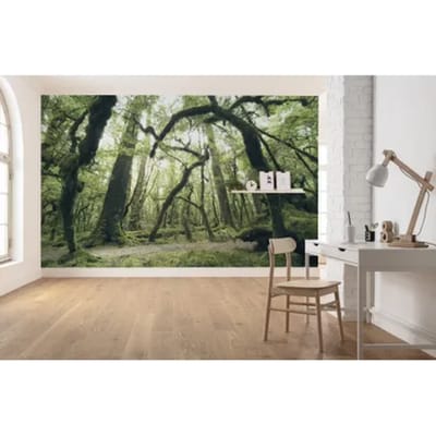 Fotobehang - Ancient Green 450x280cm - Vliesbehang