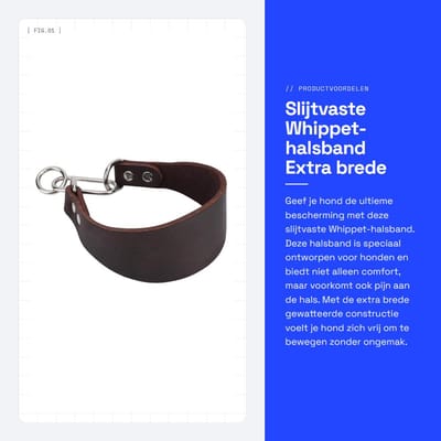Dailygoods- Halsband Slijtvaste Gewatteerd - Extra Brede Halsband - Taps Toelopend - Bescherming tegen Pijn - Comfortabel voor Hond - Hondhalsband