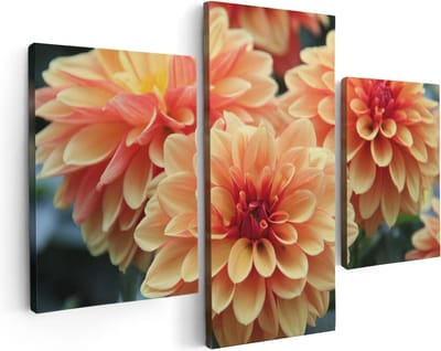 Artaza Canvas Schilderij Drieluik Oranje Dahlia Bloemen  - 90x60 - Foto Op Canvas - Canvas Print