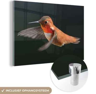 MuchoWow® Glasschilderij 120x80 cm - Schilderij acrylglas - Kolibrie - Vogel - Veren - Zwart - Foto op glas - Schilderijen