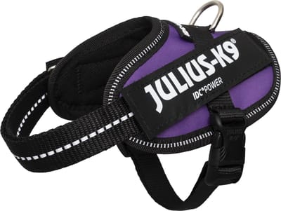 Julius-K9 IDC Powertuig - Hondentuig - 2XS - Baby 2 - Dark Purple