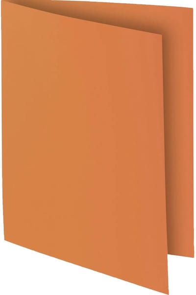 Exacompta ROCK''S 80 - Pak van 100 inlegmappen 22x31cm voor A4 - Havana - 800014E