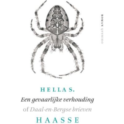 Een Gevaarlijke Verhouding - Hella S. Haasse