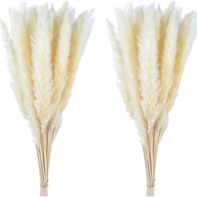 30 STUKS Kleine Riet Onsterfelijke Bloem Boeket Pampasgras Gedroogde Bloemen Kerst DIY Decoraties Wit